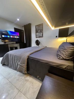 Furnished Studio Apartment Available, Vi, Victoria Island (vi), Lagos, Self Contain (single Rooms) for Rent