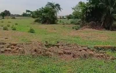 3 Hectares of Premium Land, Opic Estate, Isheri, Lagos, Land for Sale