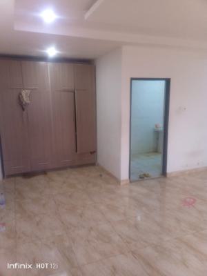 a Luxury Mini Flat with Excel, Goodness Estate, Badore, Ajah, Lagos, Mini Flat (room and Parlour) for Rent
