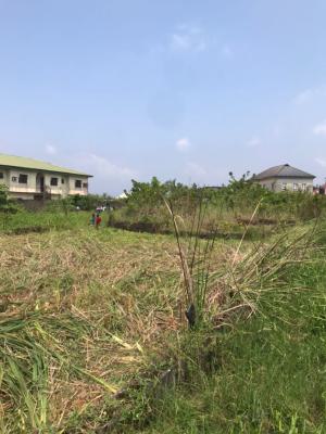 Spacious Dry Land Measured 1214sqm in an Estate, Badore Ajah, Ajah, Lagos, Residential Land for Sale