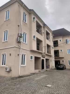Standard and Spacious 2 Bedroom Apartment, Badore, Ajah, Lagos, Flat / Apartment for Rent