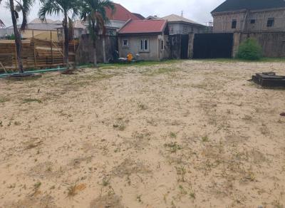 305 Sqm of Dryland in a Well Developed Neighborhood, Long Fidiso First Gate Estate Road By Nnpc, Abijo, Lekki, Lagos, Residential Land for Sale