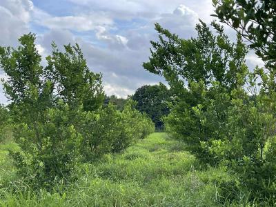 Farm Land, Abeokuta North, Ogun, Land for Sale