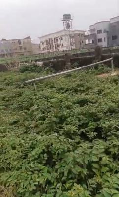 4000sam, Residential, Tarred Road, Life Camp, Abuja, Residential Land Joint Venture