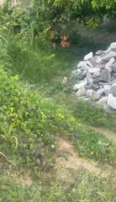 a Good Land for Joint Venture, Gwarinpa, Abuja, Mixed-use Land Joint Venture