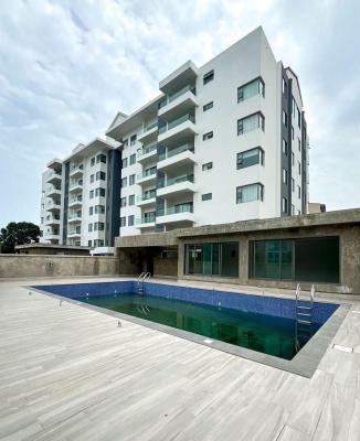 Excellent 2 Bedroom Apartment with Elevator, Gym and Pool, Lekki Phase 1, Lekki, Lagos, Flat / Apartment for Sale