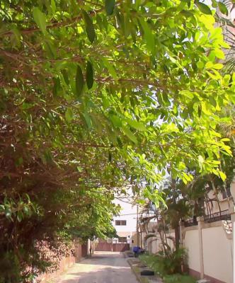 Land Measuring 1,905sqm, Mike Adenuga Close, Victoria Island (vi), Lagos, Mixed-use Land for Sale