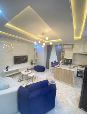 Luxury 1 Bed with Swimming Pool  Asokoro, Asokoro, Asokoro District, Abuja, Flat / Apartment Short Let