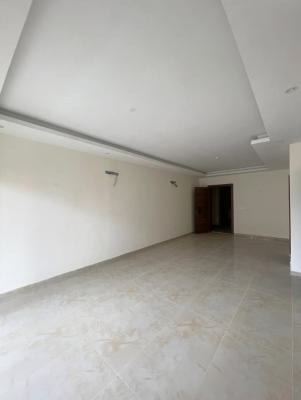 Serviced Newly  Built 2 & 3 Bedroom Apartments with a Gym House & Pool, Victoria Island (vi), Lagos, Flat / Apartment for Rent