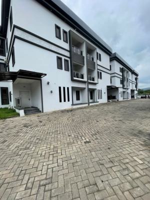 Fully Furnished and Serviced 4 Bedroom Terrace and a Bq, Maitama District, Abuja, Terraced Duplex for Rent