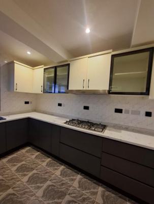 4 Bedroom Terrace with Bq Just 4 Unit in The Compound, Wuse 2, Abuja, Terraced Duplex for Rent