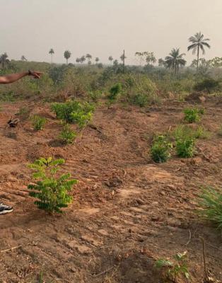 15.4 Hectares Residential (estate Housing) Land Use, Wasa Apo Layout, Wasa, Apo, Abuja, Residential Land for Sale