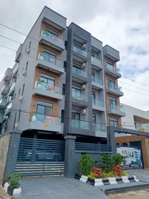 Brand New Luxury 2 Bedroom Apartment with Excellent Facilities, Ikate, Lekki, Lagos, Flat / Apartment for Rent