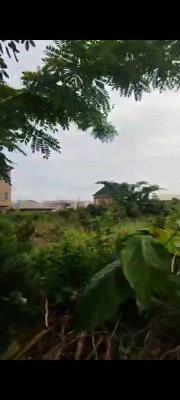 3 Plots of Land  with Governors Consent, Ocean Palm Estate, Sangotedo, Ajah, Lagos, Residential Land for Sale