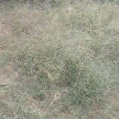 a Standard, Solid Land, Limi Hospital, Central Business District, Abuja, Mixed-use Land for Rent
