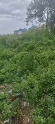 a Standard, Executive Land, Ikate, Lekki, Lagos, Mixed-use Land for Rent