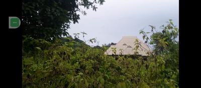 50 Plots of Land, Odo Uro, Iyin, Ado-ekiti, Ekiti, Land for Sale