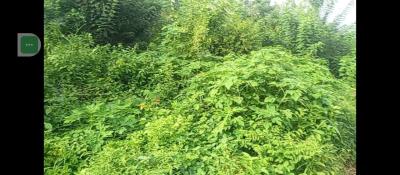 4 Plots of Land, New Local Government Area, Ado-ekiti, Ekiti, Land for Sale