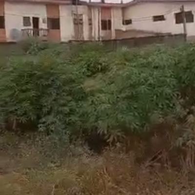 13 Plots of Land Available, Shasha, Alimosho, Lagos, Commercial Land for Sale