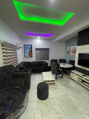 Luxury 2 Bedroom Apartment with Excellent Facilities, Chevron, Lekki, Lagos, House Short Let