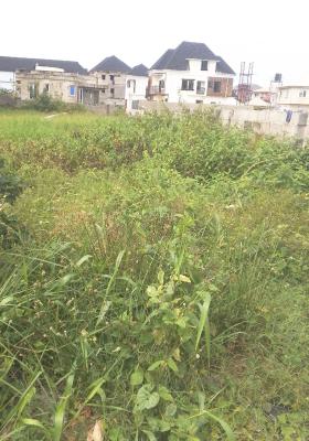 Nice and Standard Half Plot of Corner Piece Land, Serene and Secure Environment, Lakowe, Ibeju Lekki, Lagos, Mixed-use Land for Sale