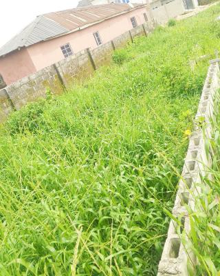 Nice and Dry Land Almost Quarter Plot of Land, Serene and Secure Environment in Lakowe, Lakowe, Ibeju Lekki, Lagos, Residential Land for Sale