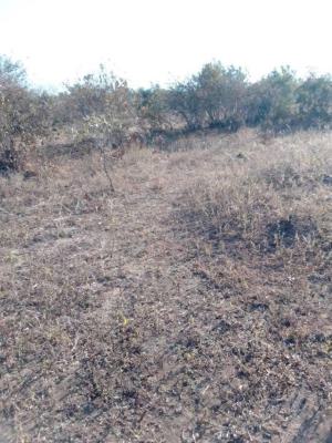100% Dry Land with Verified Documents, Agbado, Ifo, Ogun, Residential Land for Sale