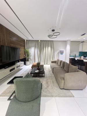 Furnished Two Bedroom Apartment Serviced, Ikate Lekki, Lekki Phase 1, Lekki, Lagos, Flat / Apartment for Sale