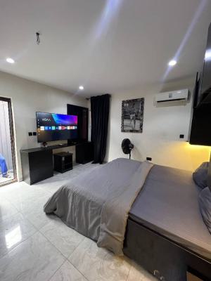 Fully Furnished  Studio Condo Apartment I, Vi, Victoria Island (vi), Lagos, Mini Flat (room and Parlour) for Rent