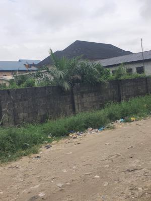 2 Plots of Land with a Regular Shape and in a Well Built-up Estate, Badore, Ajah, Lagos, Mixed-use Land for Sale