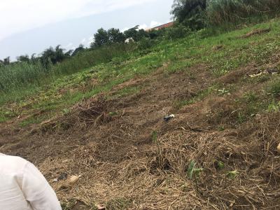 40 By 120 Bare Soft Land, Green Leaf Estate, Ebute, Ikorodu, Lagos, Mixed-use Land for Sale
