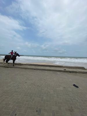 1174 Sqm Ocean Front Land, By One Africa Building, Ilasan, Ikate, Lekki, Lagos, Mixed-use Land for Sale