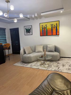 Furnished 1 Bedroom Apartment Dm for The Video, Lekki Phase 1, Lekki, Lagos, Flat / Apartment for Rent