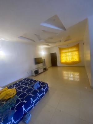 Luxury Services 2 Bedroom Apartment 24 Hours Light, Around Lbs, Sangotedo, Ajah, Lagos, Flat / Apartment for Rent