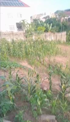 a Standard, Outright Land, Guzape District, Abuja, Mixed-use Land Joint Venture