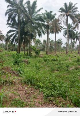1000acres of Farmland at Wakajaye Gbaongan, Wakajaye Village Gbongan, Osogbo, Osun, Commercial Land for Sale