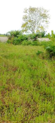 a Serviced Plot of Land, Royal Garden Estate, Ajah, Lagos, Land for Sale