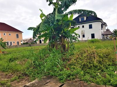 4 Plots of Land on a Corner Piece in a Serene Neighbourhood, Adeola Odeku, Victoria Island (vi), Lagos, Mixed-use Land for Sale