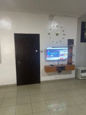 Luxury Mini Flat with 24 Hours Light Supply, Lekki Phase 1, Lagos, Lekki Phase 1, Lekki, Lagos, Mini Flat (room and Parlour) for Rent
