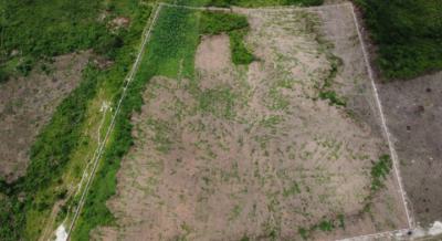 Affordable Plots in Primrose Residences From 500k - 30 Mins From Lagos, Opp. G-text Homes, Sokoto Road, Atan Ota, Ado-odo/ota, Ogun, Residential Land for Sale