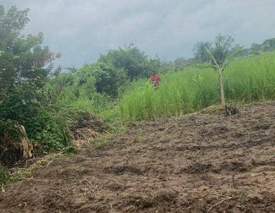 Acres of Land in Epe Lagos, Omu, Epe, Lagos, Residential Land for Sale