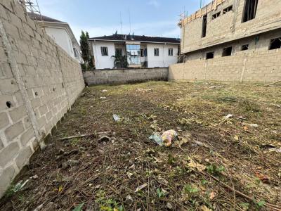 Half Plot of Land in a Secured Estate Im Chevron, Chevyview Estate, Chevron Drive, Lekki, Lagos, Land for Sale
