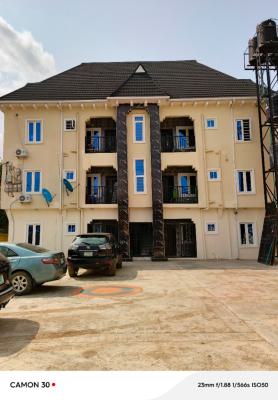 Affordable 2 Bedroom Flat, Bucknor Estate, Ago Palace Way, Isolo, Lagos, Flat / Apartment for Rent