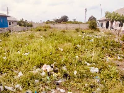 1 Plot of Land with Governors Consent, Lekki Free Trade Zone, Lekki, Lagos, Mixed-use Land for Sale