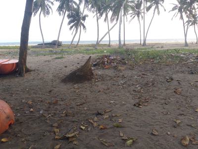 2 Plots of Land with Beachfront, Lekki Free Trade Zone, Lekki, Lagos, Mixed-use Land for Sale