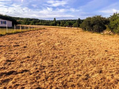 Land with Good Title and Topography, Oworonshoki, Kosofe, Lagos, Residential Land for Sale