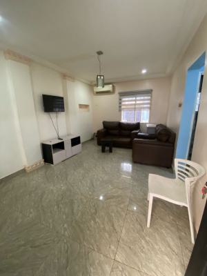 Standard & Partially Furnished One Bedroom Apartment with Two Toilets, 6th Avenue, Gwarinpa, Abuja, Mini Flat (room and Parlour) for Rent