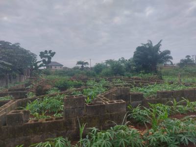 Full Plot of Land with Foundation Within a Fast Developing Community, Npa Port Authority Estate, Obeere, Sango Ota, Ogun, Residential Land for Sale