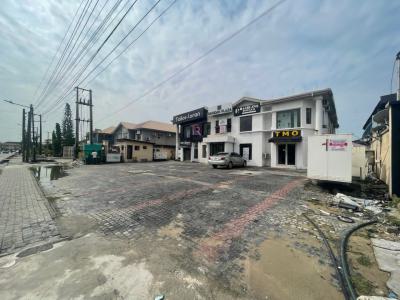 4-in-1 Shop Space (first Floor), Emma Abimbola Cole Street, Lekki Phase 1, Lekki, Lagos, Shop for Rent
