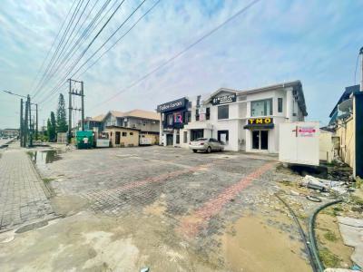 4-in-1 Shop Space (first Floor), Emma Abimbola Cole Street, Lekki Phase 1, Lekki, Lagos, Shop for Rent